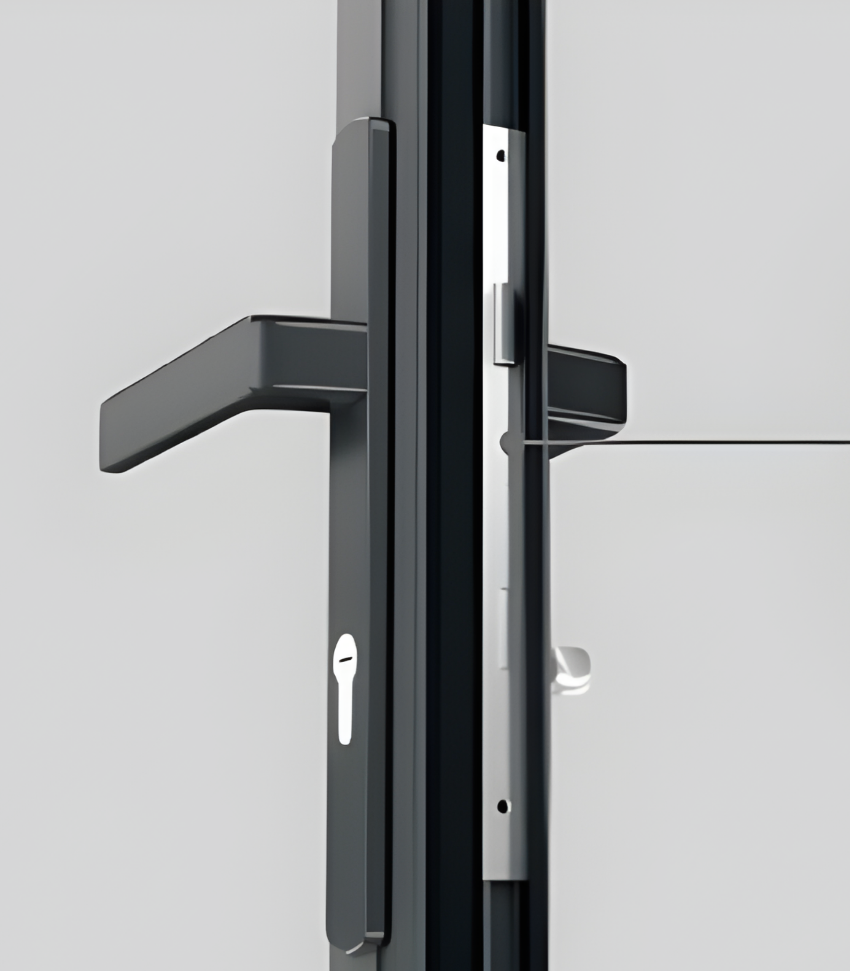 VLX 100 Swing / Entry Door in Homestead, FL | TruePane Windows & Doors - detail 5